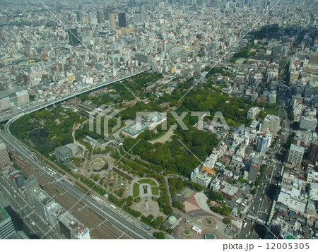 あべのハルカス(天王寺公園を見下ろす) あべのハルカス(天王寺公園を見下ろす) 12005305