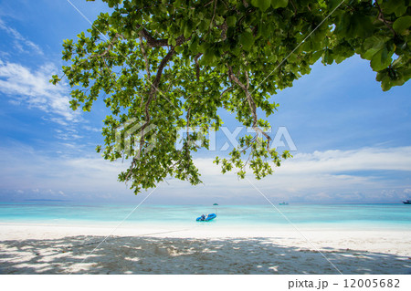 Island tour 12005682