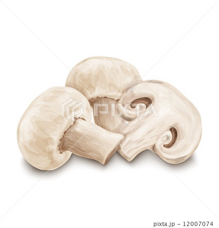 Champignon mushrooms isolated 12007074