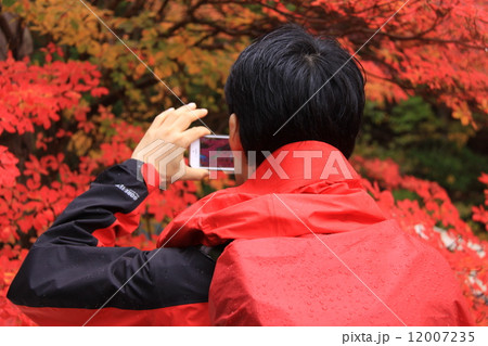 ドウダンツツジの紅葉を撮る男性(白駒池周辺) ドウダンツツジの紅葉を撮る男性(白駒池周辺) 12007235