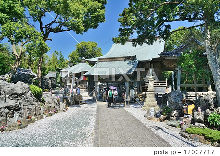 四国霊場第三十二番札所・禅師峰寺(ぜんじぶじ) 12007717