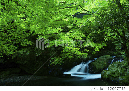 滑沢渓谷 12007732