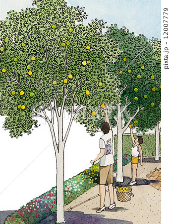 収穫の喜び、果樹　家族　女性 12007779