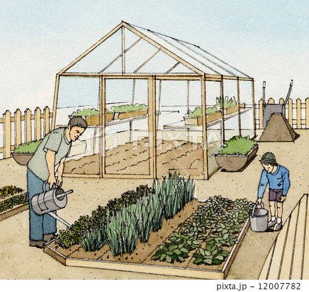家庭菜園 農業 イラストのイラスト素材 1077