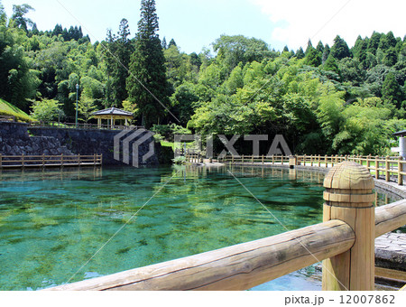 Spring-fed pond_丸池湧水 Spring-fed pond_丸池湧水 12007862