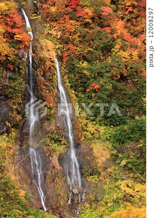 紅葉の大田切渓谷 そうめん滝 紅葉の大田切渓谷 そうめん滝 12008297