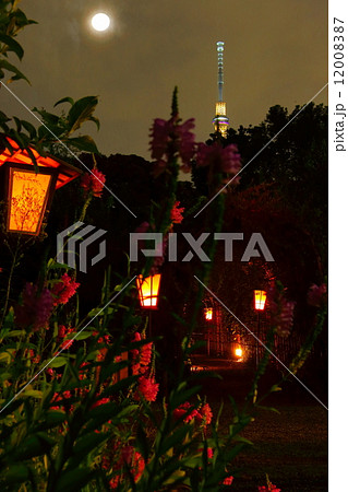 向島百花園・月見の会 12008387