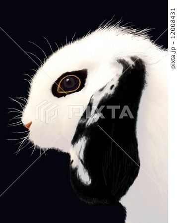 たれ耳 パンダ ウサギ 兎 ロップイヤー ラビット 年賀状 卯年 かわいい イラストのイラスト素材