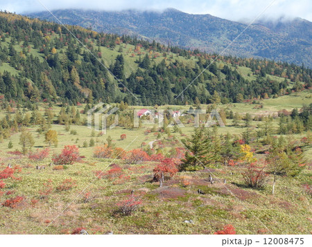 白根山の紅葉 白根山の紅葉 12008475