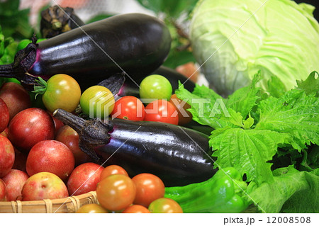 もぎたて野菜 12008508