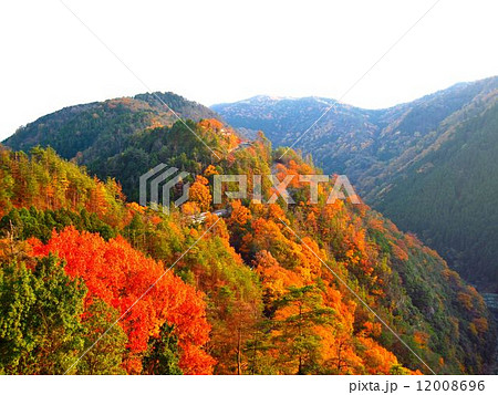 京都　保津峡の紅葉 12008696
