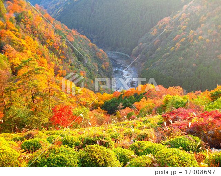京都　保津峡の紅葉 12008697