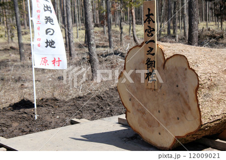 ご神木 ‎諏訪大社御柱祭 12009021