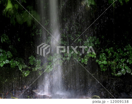 夏狩湧水群の湧水 夏狩湧水群の湧水 12009138