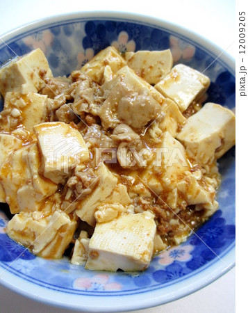 マーボー丼 12009205