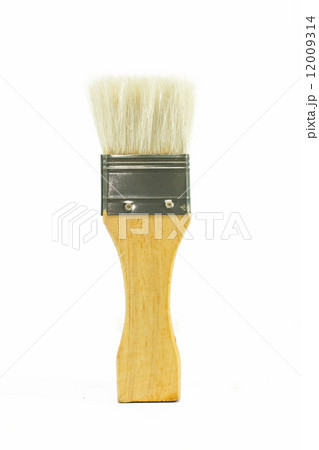 Paint brush isolated on a white background 12009314