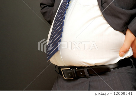 メタボ メタボ 12009541