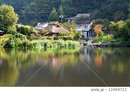 金鱗湖 金鱗湖 12009722