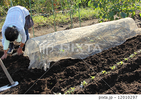 農作業 12010297