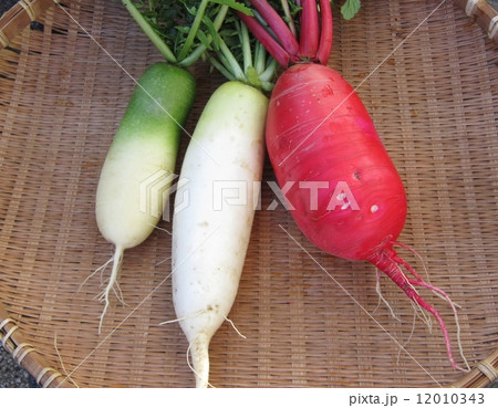 大根 12010343