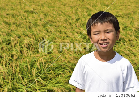 新米 12010662