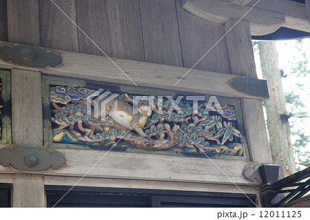 神厩舎の三猿 12011125