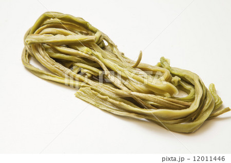 山くらげ 12011446