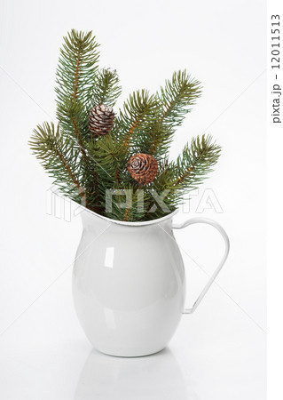 Pine branches Pine branches 12011513