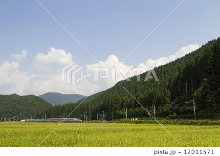 秋田新幹線こまち 秋田新幹線こまち 12011571