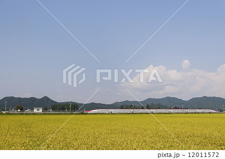 秋田新幹線こまち 秋田新幹線こまち 12011572