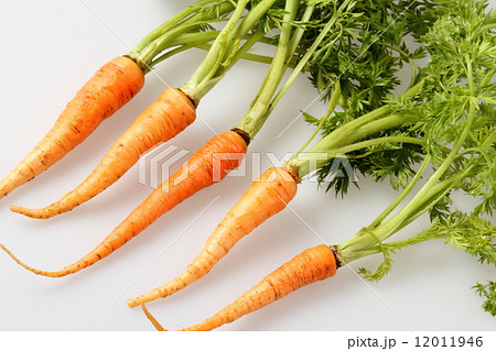 葉つき人参 葉つき人参 12011946