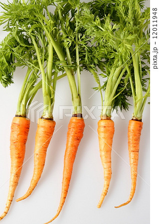 葉つき人参 葉つき人参 12011948
