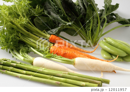 新鮮お野菜 新鮮お野菜 12011957
