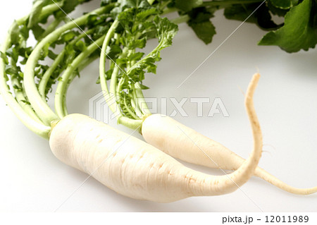 日本の野菜 だいこん 日本の野菜 だいこん 12011989