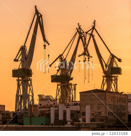 Industrial cargo cranes in the dock 12013108