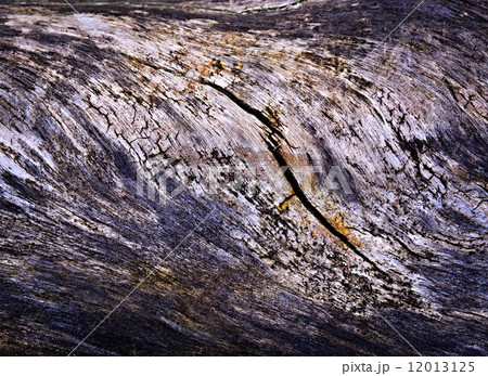 old rotten wood old rotten wood 12013125