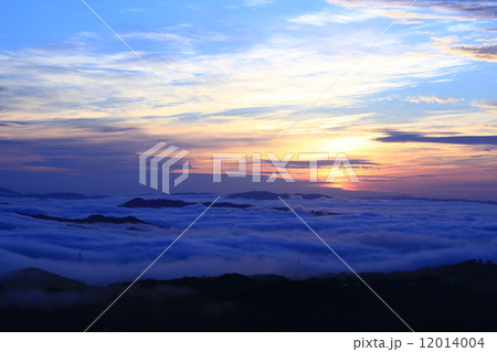 雲海 12014004