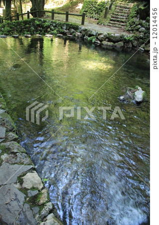 愛媛県西予市　観音水 12014456