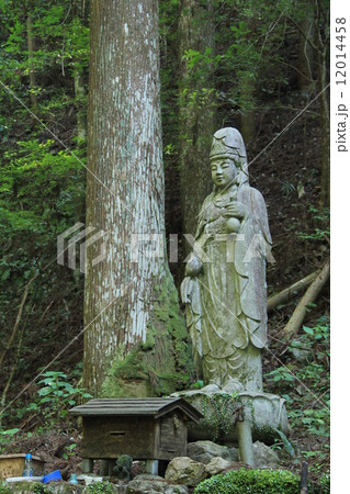 観音水　観音像 12014458