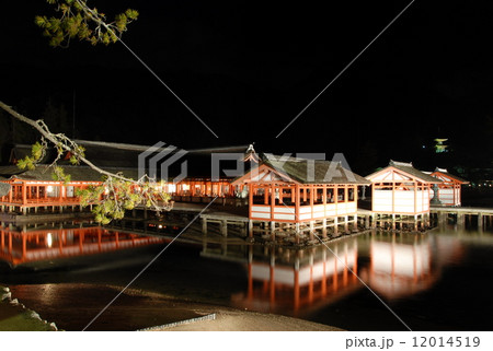 夜の厳島神社 12014519