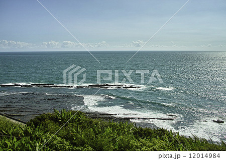 いるか岬 12014984