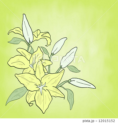 background with green flower lily, spring theme 12015152