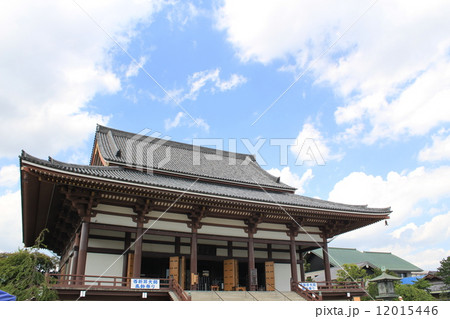 夏の西新井大師 12015446