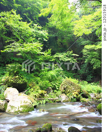 渓谷と渓流 渓谷と渓流 12015918