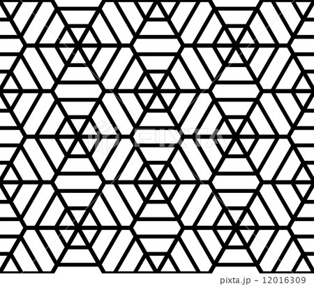 Hexagons latticed texture. Seamless geometric pattern. Hexagons latticed texture. Seamless geometric pattern. 12016309