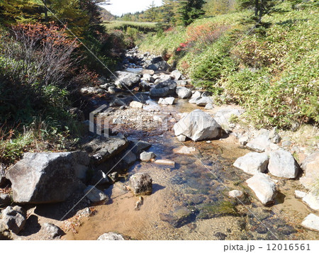 白根山の紅葉 白根山の紅葉 12016561