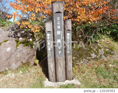 白根山の紅葉 白根山の紅葉 12016563