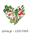 Floral autumn heart 12017493