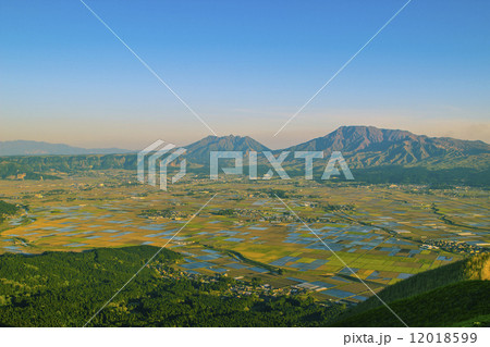 大観峰 大観峰 12018599