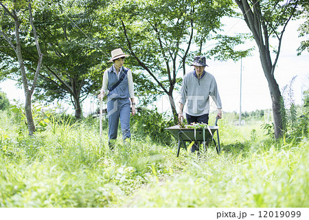 若者と農業 若者と農業 12019099